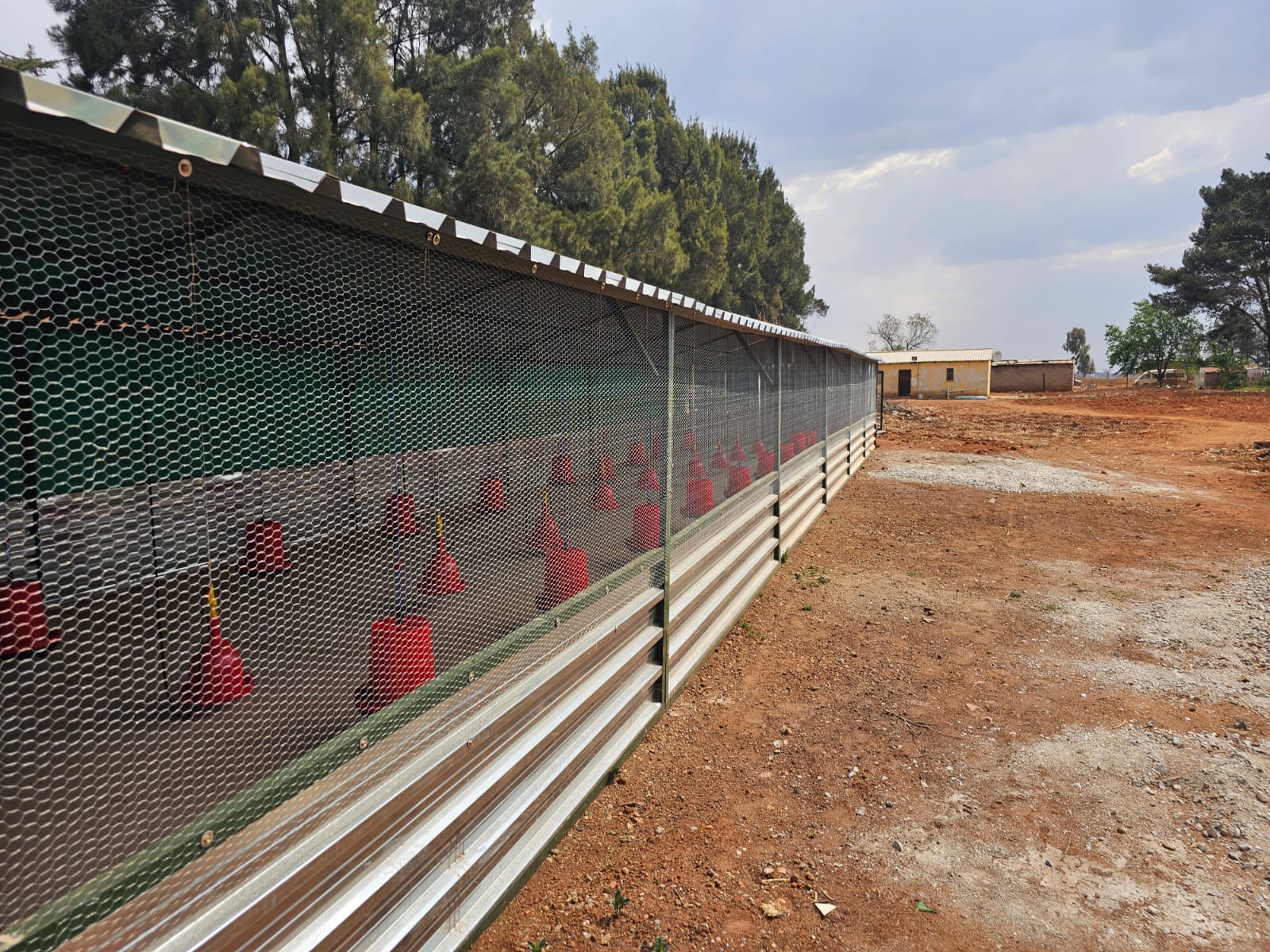 Interior with Green Flooring