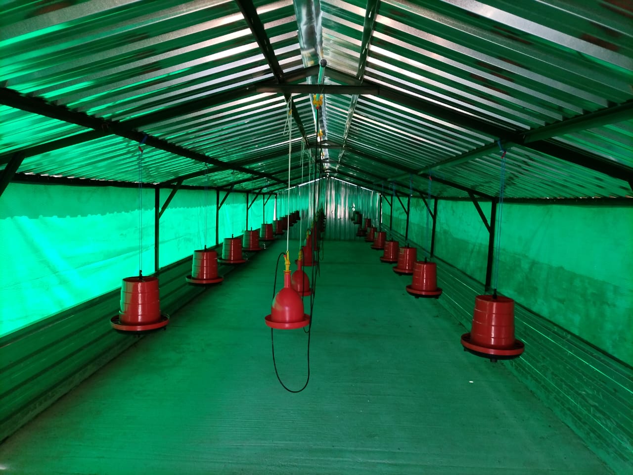 Modern Broiler Facility