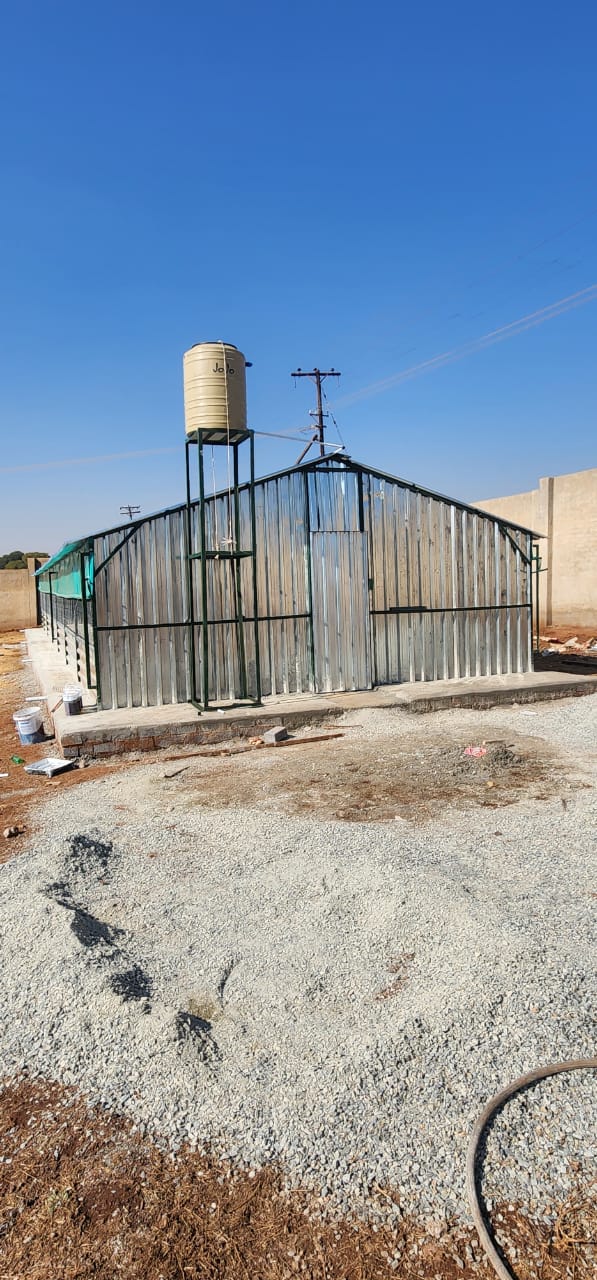 Active Broiler House with Chicks
