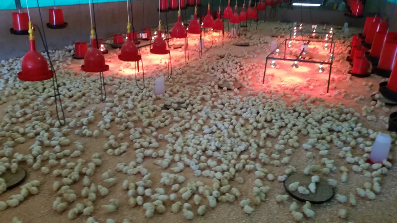 Exterior with Mesh Ventilation