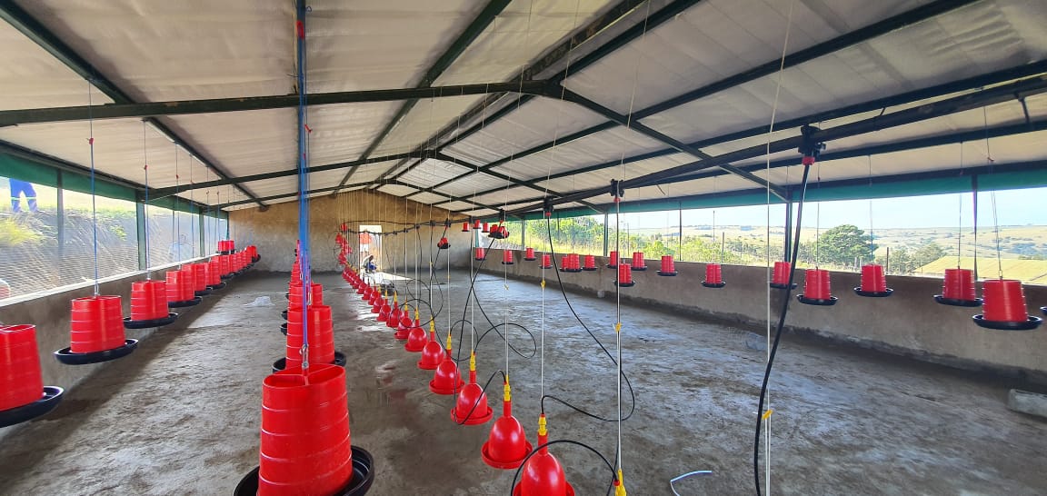 Layer House Exterior