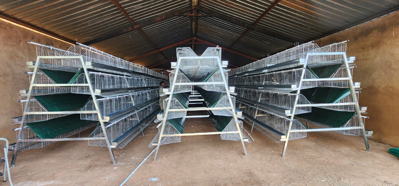 Exterior Side View - Brick and Curtain Construction